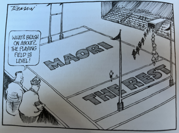 Don Brash cartoon Maori v the rest2